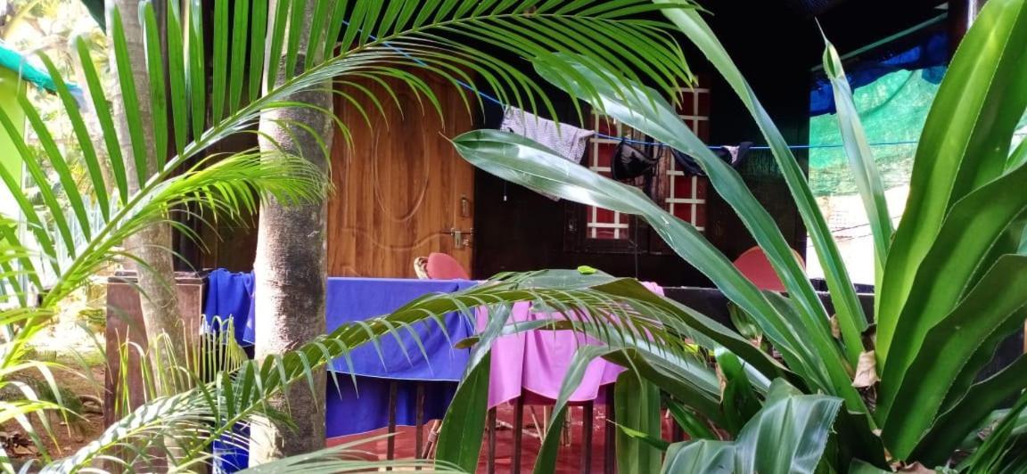 Casa Fiesta Hotel Palolem Kültér fotó